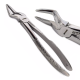 Surgical Fig 51A for upper roots Pedo forceps tooth extraction instruments