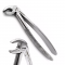 Dental Tooth Extraction Forceps Fig 13 Lower Teeth Removal Extracting Instrument