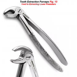 Dental Tooth Extraction Forceps Fig 13 Lower Teeth Removal Extracting Instrument