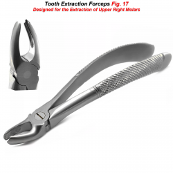 Tooth Extracting Extraction Forceps Fig 17 Right Upper Molar Dental Instruments