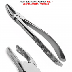Dental Tooth Extraction Forceps Fig 7 For Upper Premolar Teeth Canine Forceps