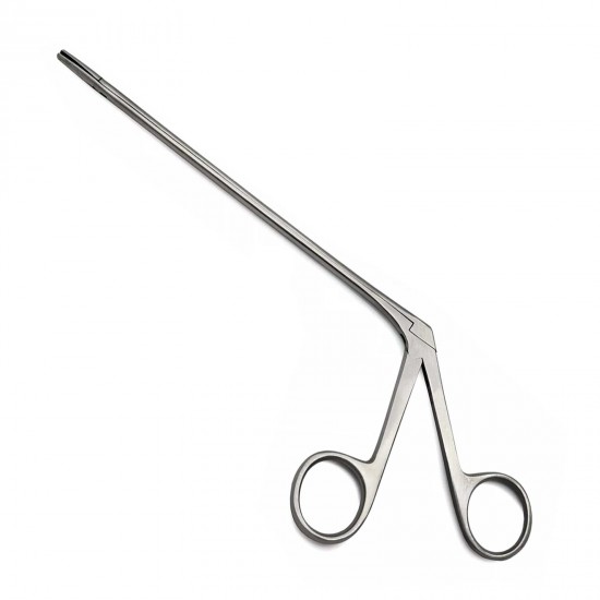 Surgical Alligator Forceps 3.5 inches Medical & Veterinary Instruments