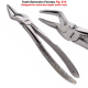 Surgical Fig 51A for upper roots Pedo forceps tooth extraction instruments