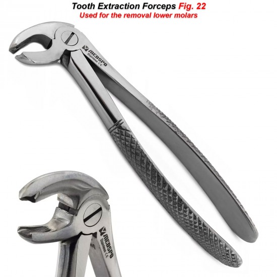 Surgical Tooth Extraction Forceps Fig22 For Lower Molars Jaws Extraction Forceps